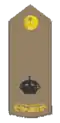 commandant (arabe : رائد)