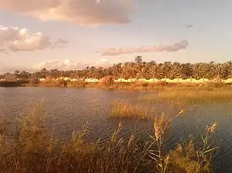 Tawarga