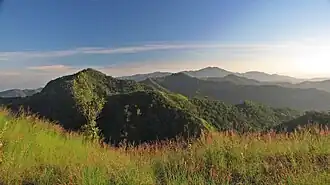 Wiang Pa Pao
