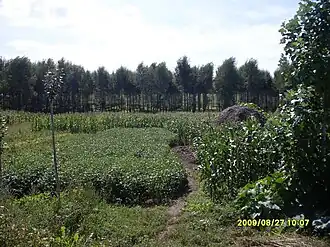 Xian de Keshan