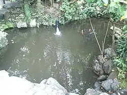 Étang