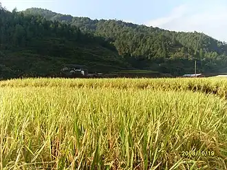 Xian de Jiaoling