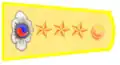 Colonel (정령)