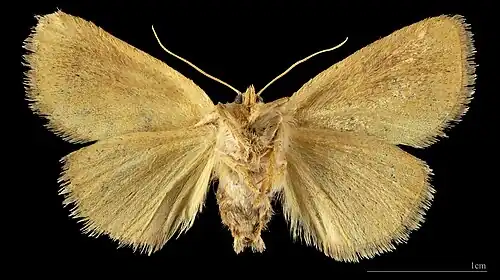 ♂   △