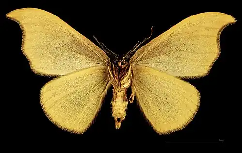 ♂   △