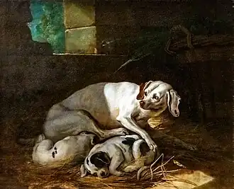 Chienne allaitant ses petits - musée des Beaux-Arts de Narbonne
