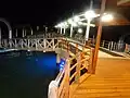 Vue nocturne de l'embarcadère de Puerto Ayora.