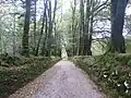 Une allée du domaine de Menez Meur.