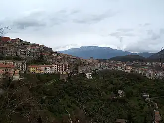 Segni