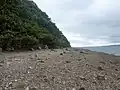 La grève le long du bois du Loc'h (littoral sud de la Rivière du Faou, sud de la rade de Brest).
