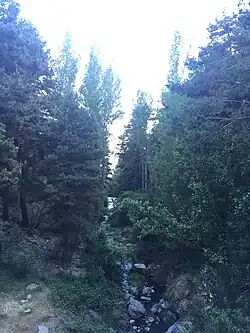 Le Chico&nbsp;(es)