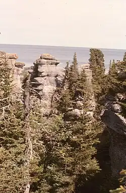 Foret boréale, monolithes sur l’île Niapiskau