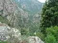 Les gorges de la Spelonca depuis le sentier d’Evisa