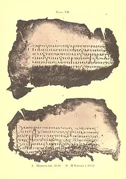 Description de l'image 016 (GA) Sander's facsimile, Plate VII.jpg.