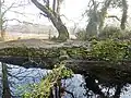 La cache de Cadoudal sur un talus.