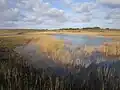 Le marais du ruisseau de Poulbé 1.