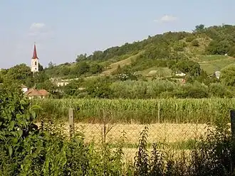 Dubník