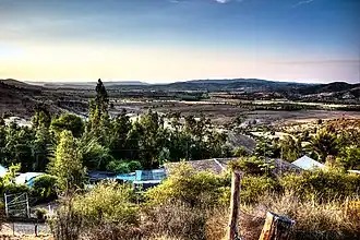 Pumanque