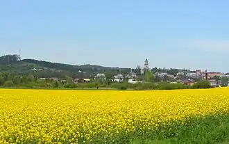 Rymanów