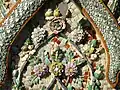 Motifs floraux