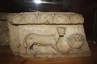 Panthère.
