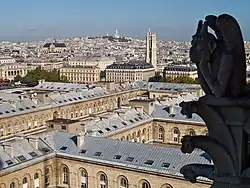 Image illustrative de l’article Les Anges et les Faucons