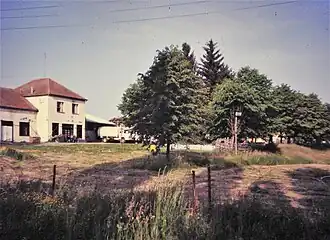 Batinjani
