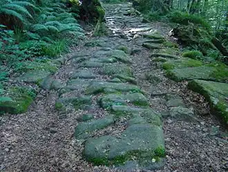 Pesquera