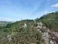 Affleurements de roches et végétation près du sommet de Ménez Landivigen.