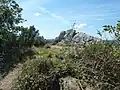 Le sommet de Ménez Landivigen (260 mètres d'altitude) situé près du « jardin Picart » (Edern).