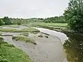 Slikke et schorre à marée basse dans la partie aval du marais de la Goden.
