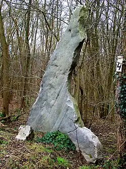 Image illustrative de l’article Pierre Longue (Bellefontaine)
