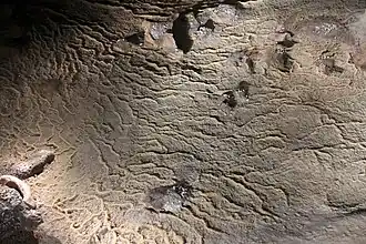02&nbsp;: Le ruissellement d’eau sur le sol dépose, partout en relief depuis la gauche, des crêtes de calcite (gour).