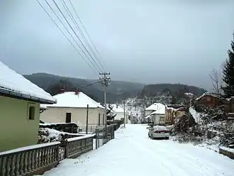 Vlasina Rid