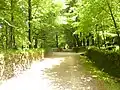 Allée principale menant au manoir.