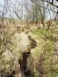 L'Élorn près de sa source (limite communale Commana-Sizun, section de Saint-Cadou).