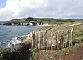 Ancien tracé du GR 34 barré par des ganivelles en raison de l'érosion littorale au nord de l'anse de Kervijen en direction de Ty Mark.
