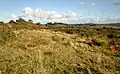 Paysage de landes dans les monts d'Arrée (sentier de randonnée « Circuit des carrières »).
