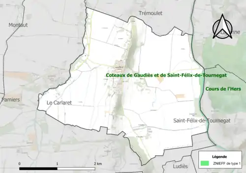 Carte de la ZNIEFF de type 1 sur la commune.