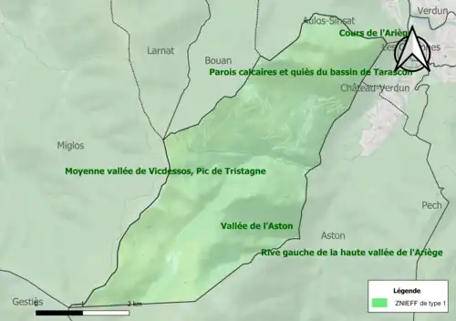 Carte des ZNIEFF de type 1 sur la commune.