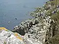 Les falaises de la Pointe de Leydé 6.
