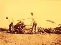 Goémoniers au travail en 1927 sur l'île aux Moutons.