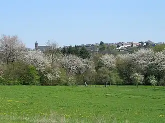 Beaumont (Hainaut)