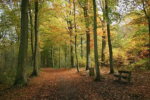 Le Bois d'Havré.