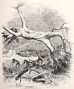Image illustrative de l’article Le Chêne et le Roseau