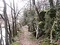 Le GR 34 près de Sainte-Avoye (rive droite de la Rivière du Bono).
