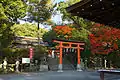 Torii du sanctuaire