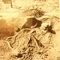 La sépulture "J" de la nécropole d'Hœdic (photographie de Saint-Just Péquart, musée de préhistoire de Carnac).