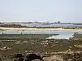 Activités ostréicoles à proximité d'Enez Terc'h.