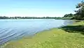 Le Lac-au-Duc vu de sa rive est côté Ploërmel aux environs de Crancastel.